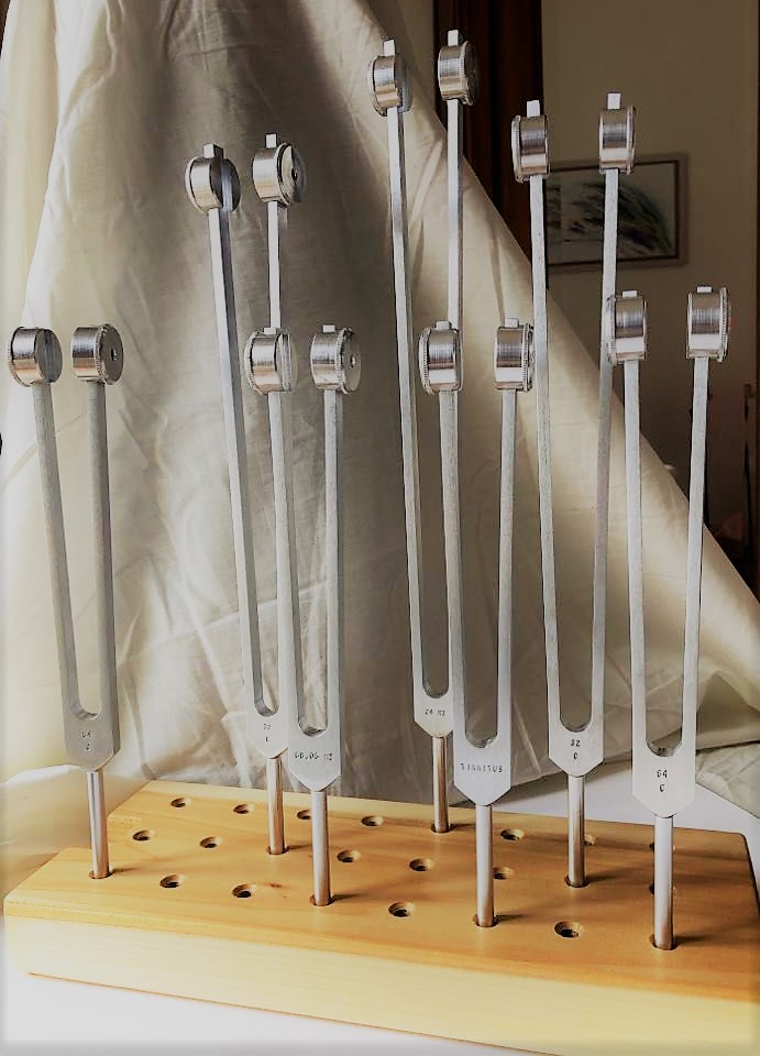 BILAN D’UN AN DE SONOTHERAPIE